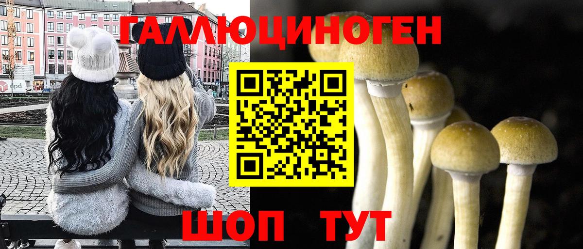 Псилоцибиновые грибы мухоморы  Вход с VPN  Каменск-Шахтинский 